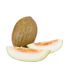 Насіння дині Фіона F1, п.о. 250 насінин (Libra Seeds)