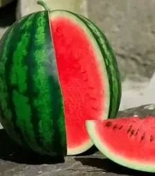 Насіння кавуна Дата F1, п.о. 1 тис.  насінин (Lark Seeds)