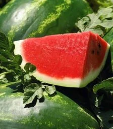 Семена арбуза Астрахан F1, п.е. 1 тыс. семян (Syngenta)