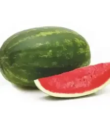 Семена арбуза Ромина F1, п.е. 500 семян (Cora Seeds)