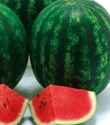 Насіння кавуна Кріспід F1, п.о. 1 тис. насінин (Sakata)