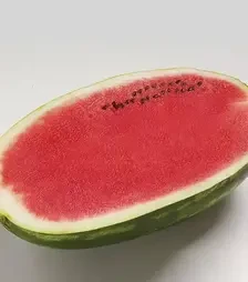 Семена арбуза Фарао F1, п.е. 1 тыс. семян (Syngenta)