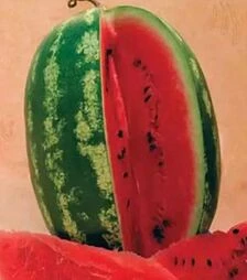 Насіння кавуна Арріба F1, п.о. 1 тис. насінин (Коуел)