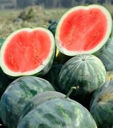 Семена арбуза Экстези F1, п.е. 500 семян (Hazera)