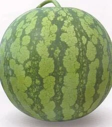 Семена арбуза Кидман F1, п.е. 1 тыс. семян (Rijk Zwaan)