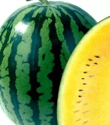 Насіння кавуна Оранж Кінг F1, п.о. 1 тис. насінин (NongWoo Bio)