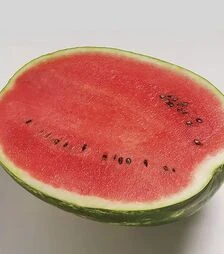 Семена арбуза Топган F1, п.е. 1 тыс. семян (Syngenta)