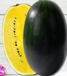 Насіння кавуна Шуга Еллоу F1, п.о. 1 тис. насінин (NongWoo Bio)