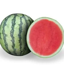 Семена арбуза Оцелот F1, п.е. 500 семян (Hazera)