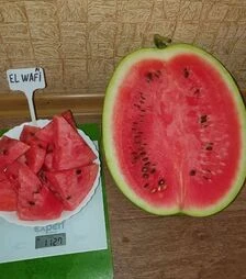 Семена арбуза Эль Вафи F1, п.е. 500 семян (Sakata)