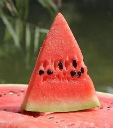 Семена арбуза Маракеш F1, п.е. 1000 семян (Ergon)