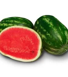 Насіння кавуна Юта F1, п.о. 1000 насінин (Spark Seeds)