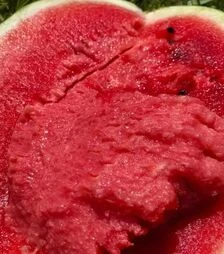 Насіння кавуна ES 75127 F1, п.о. 500 насінин (Ergon)