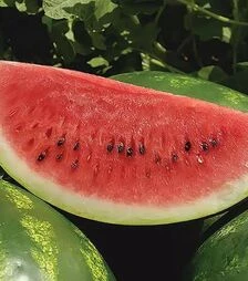 Насіння кавуна Арашан F1, п.о. 1 тис. насінин (Syngenta)