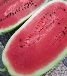 Семена арбуза Бинго F1, п.е. 1 тыс. семян (Spark Seeds)