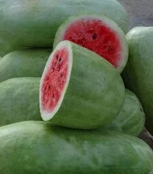 Насіння кавуна Чарльстон Грей BB, 500 г (Bakker Brothers)