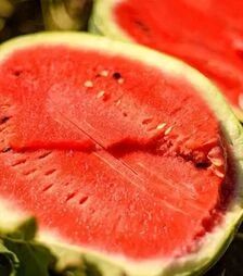 Насіння кавуна Лідія F1, п.о. 1 тис. насінин (NongWoo Bio)