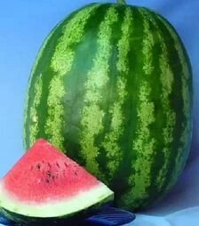 Насіння кавуна Ау Продюсер, 500 г (Spark Seeds)