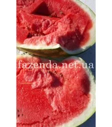 Семена арбуза Брендон F1, п.о. 250 семян (Libra Seeds)