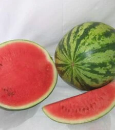 Насіння кавуна Вікінг F1, п.о. 1 тис. насінин (Hollar Seeds)