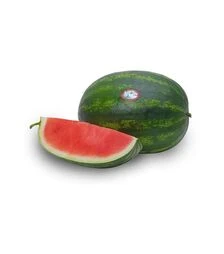 Семена арбуза Гризли F1, п.о. 100 семян (ZKI)