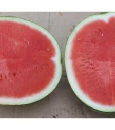 Семена арбуза Экстази F1, п.о. 500 семян (Hazera)