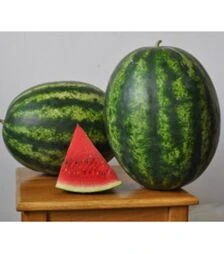 Семена арбуза Эсмеральда F1, п.о. 1 тыс. семян (United Genetics)