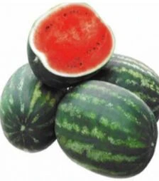 Семена арбуза Кримсон Руби F1, п.о. 100 семян (Sakata)