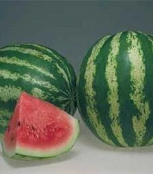 Семена арбуза Кримсон Мир, 5 кг (Spark Seeds)