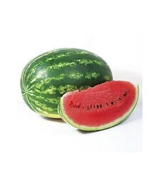 Семена арбуза КС 633 F1, п.о. 100 семян (Kitano Seeds)