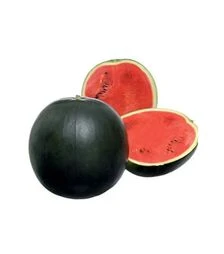 Семена арбуза Файер Болл F1, п.о. 100 семян (Sakata)