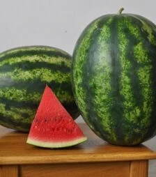 Семена арбуза Хилон (Уста 141-172) F1, п.о. 1 тыс. семян (Yuksel)