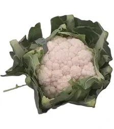 Насіння цвітної капусти Алкала F1, п.о. 2,5 тис. насінин (Bejo)