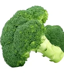 Семена капусты брокколи Пребона F1, п.е. 1 тыс. семян (Libra Seeds)