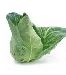 Насіння білоголової капусти Сонсма F1, п.о. 1 тис. насінин (Rijk Zwaan)