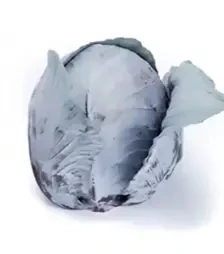 Семена красноголовой капусты Редма F1, п.е. 2,5 тыс. семян (Rijk Zwaan)