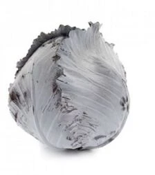 Семена красноголовой капусты Рексома F1, п.е. 1 тыс. семян (Rijk Zwaan)