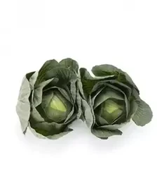 Насіння білоголової капусти Лонгма F1, п.о. 1 тис. насінин (Rijk Zwaan)