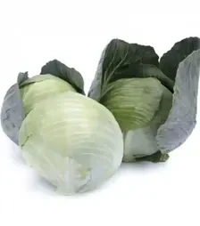 Насіння білоголової капусти Владіма F1, п.о. 1 тис. насінин (Rijk Zwaan)