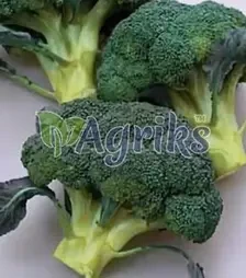 Семена капусты брокколи Витаминная, 500 г (Коуэлл)