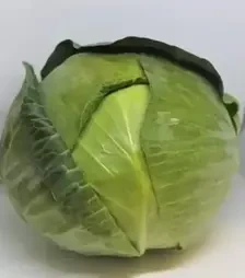 Семена белокочанной капусты Фарао F1, п.е. 2500 семян (Bejo)