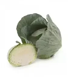 Насіння білоголової капусти Мультіма F1, п.о. 2500 насінин (Rijk Zwaan)