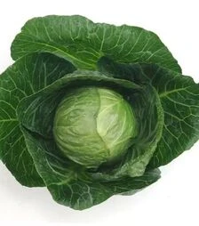 Насіння білоголової капусти Моналіза F1, п.о. 2,5 тис. насінин (Sakata)