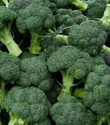 Семена капусты брокколи CB 1002 BL F1, п.е. 1 тыс. семян (Seminis)