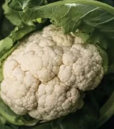 Семена цветной капусты Илькар F1, п.е. 2,5 тыс. семян (NongWoo Bio)
