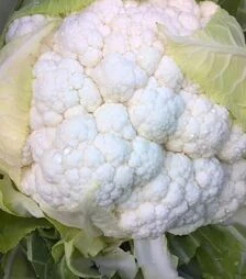 Насіння цвітної капусти Кренік F1, п.о. 2,5 тис. насінин (Enza Zaden)