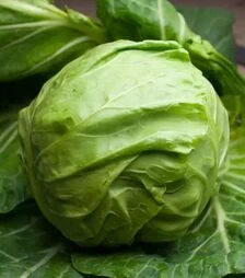 Насіння білоголової капусти Міррор F1, п.о. 2,5 тис. насінин (Syngenta)