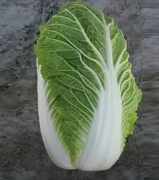 Семена пекинской капусты Пацифико F1, п.е. 2,5 тыс. семян (Bejo)