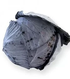 Семена красноголовой капусты Футурима F1, п.е. 2,5 тыс. семян (Rijk Zwaan)