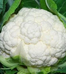 Семена цветной капусты Наутилус F1, п.е. 1 тыс. семян (Clause)